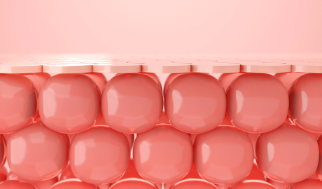 Collagen Stimulation