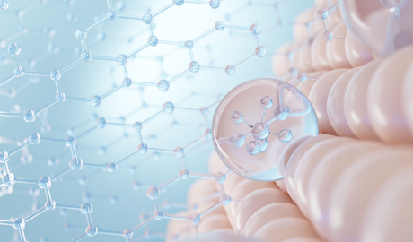 Enhanced Skin Firmness & Elasticity