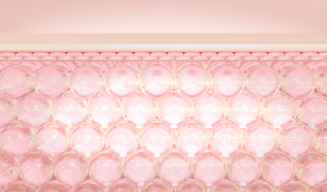 Longevity of Results